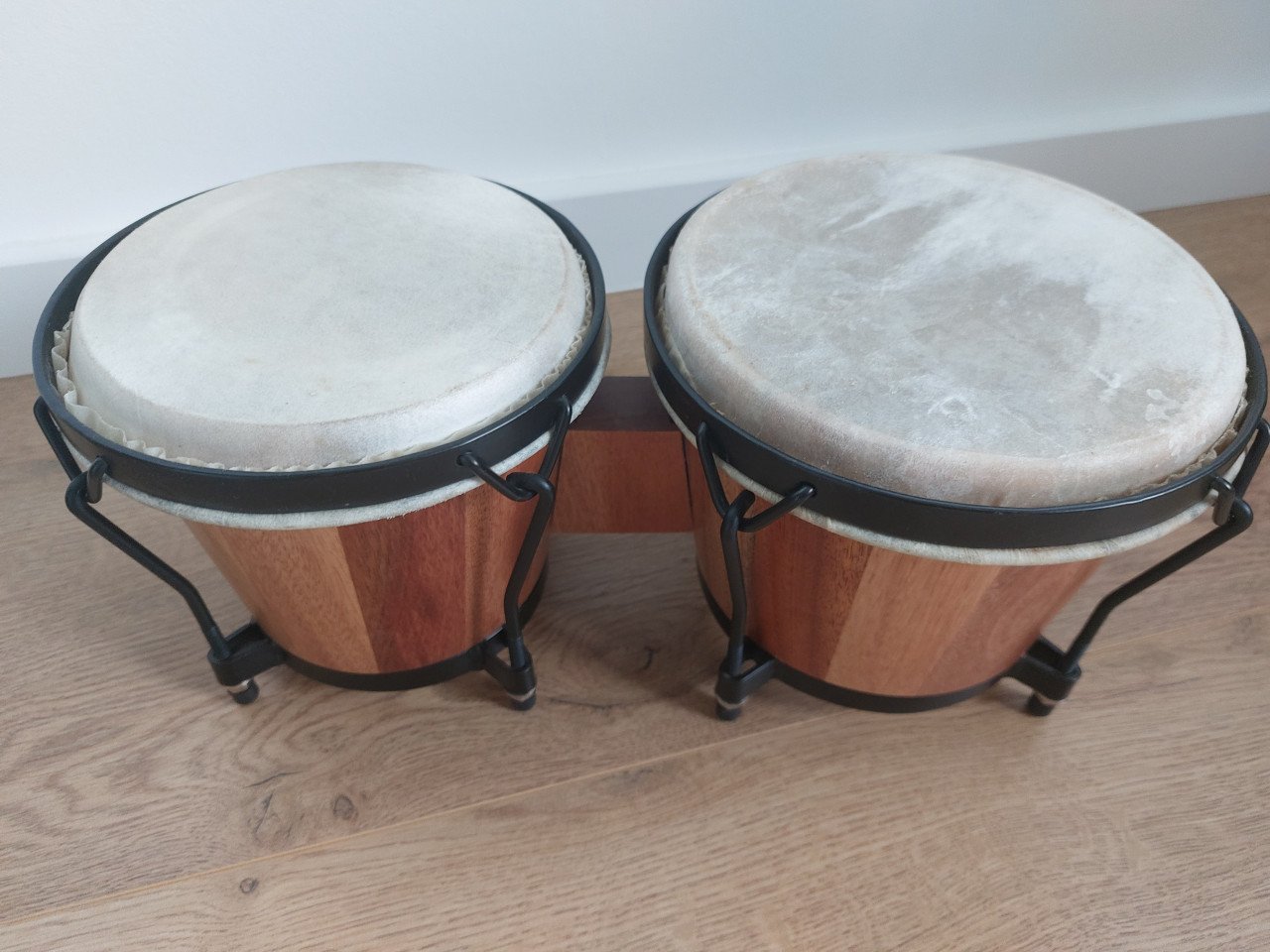 Bongo