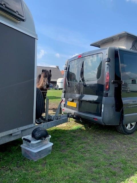 Buscamper renault traffic 2003