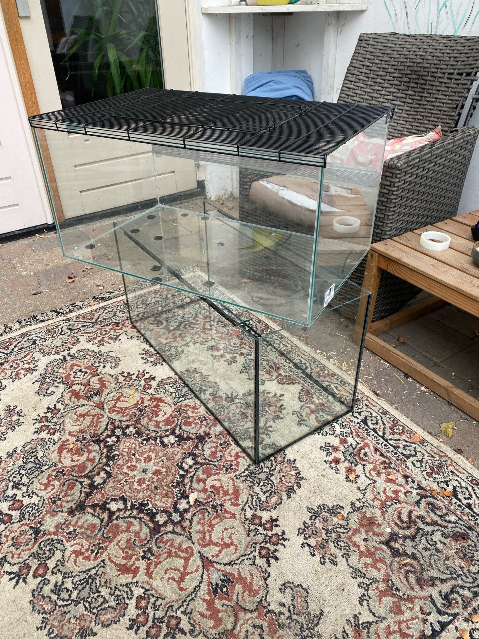 Terrarium hamster