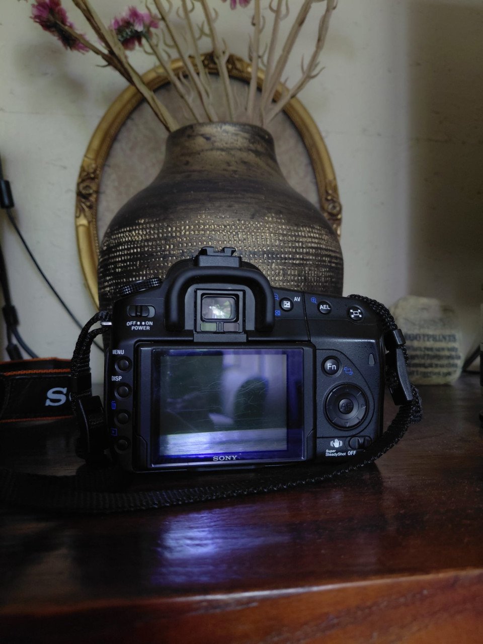 Sony A300 met Minolta 28-80mm lens