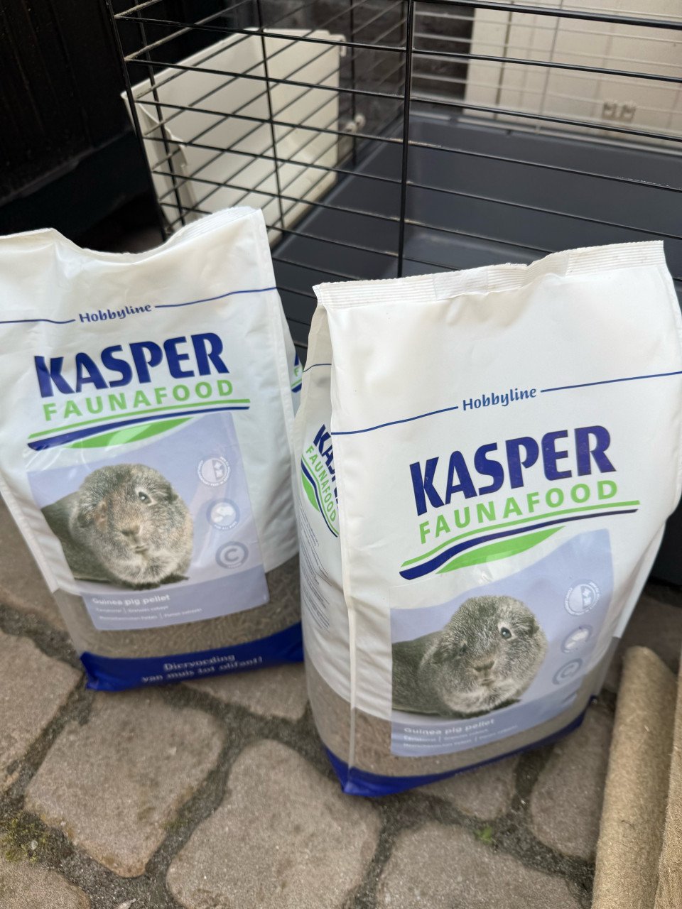 Knaagdieren verblijf + alle benodigdheden om te starten