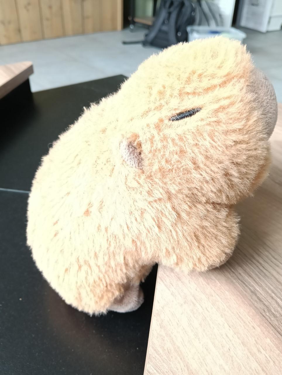 Knuffel