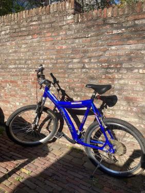 Mountainbike Gazelle Fast Y-shape