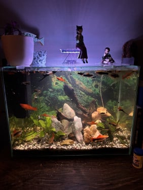 Aquarium