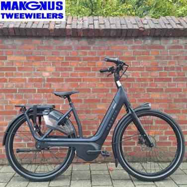 Gazelle Avignon C8 HMB Belt (D53)