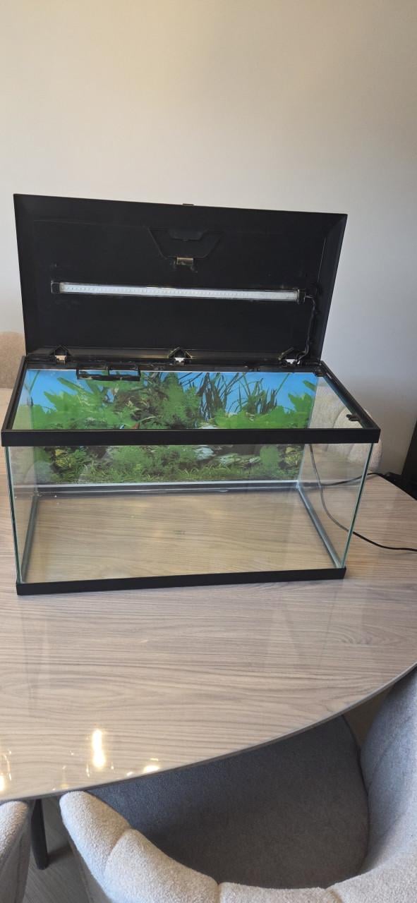 Aquarium Ciano 60