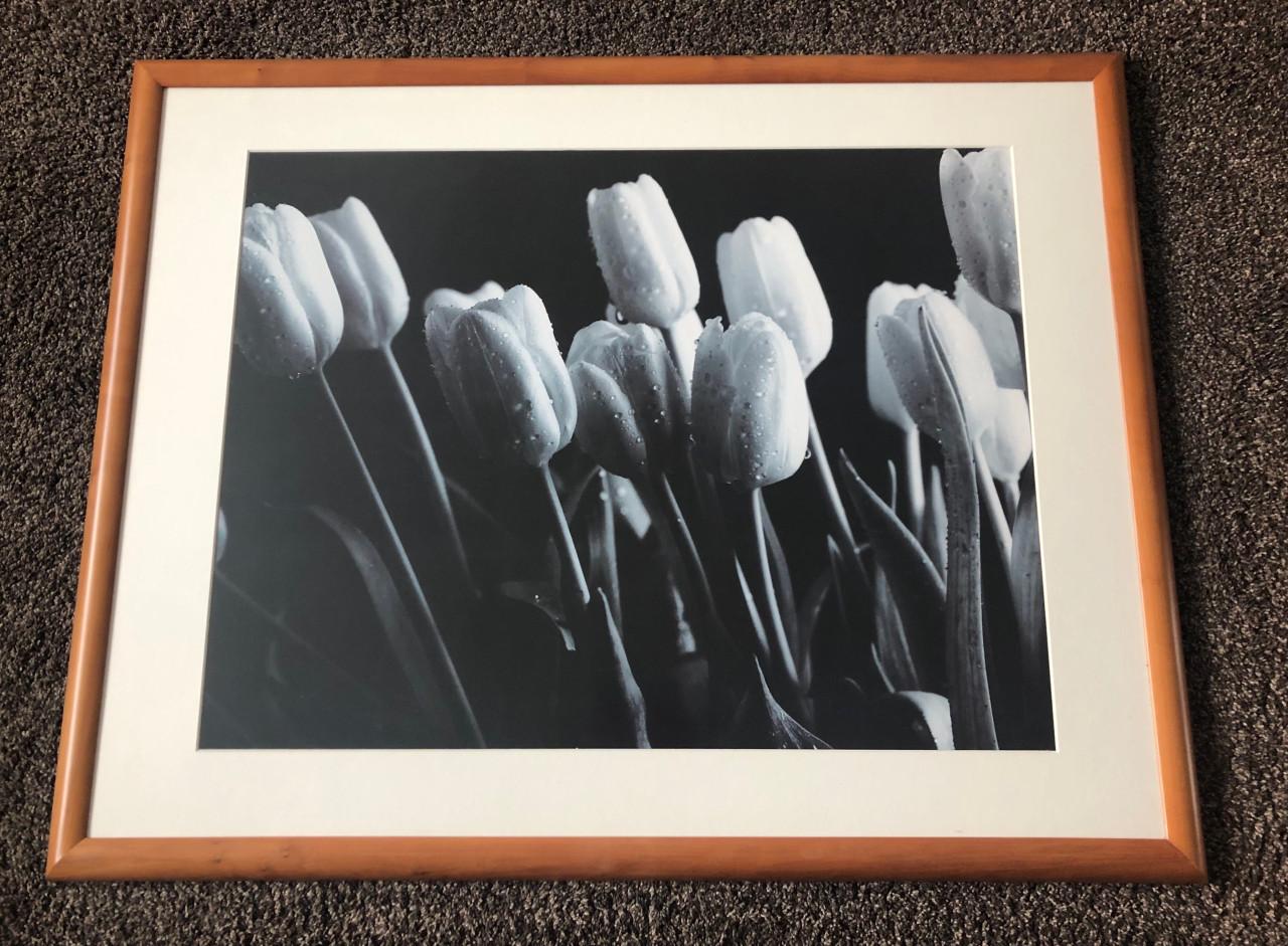 Schilderij tulpen