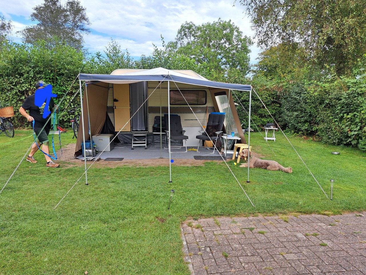 Te Koop Avento Royal 350 TL Luxe