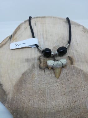 Hanger met Echte Haaientand 9