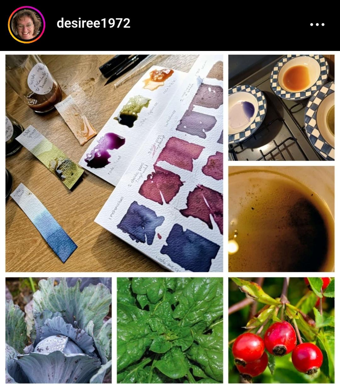 Wildplukwinterwandeling