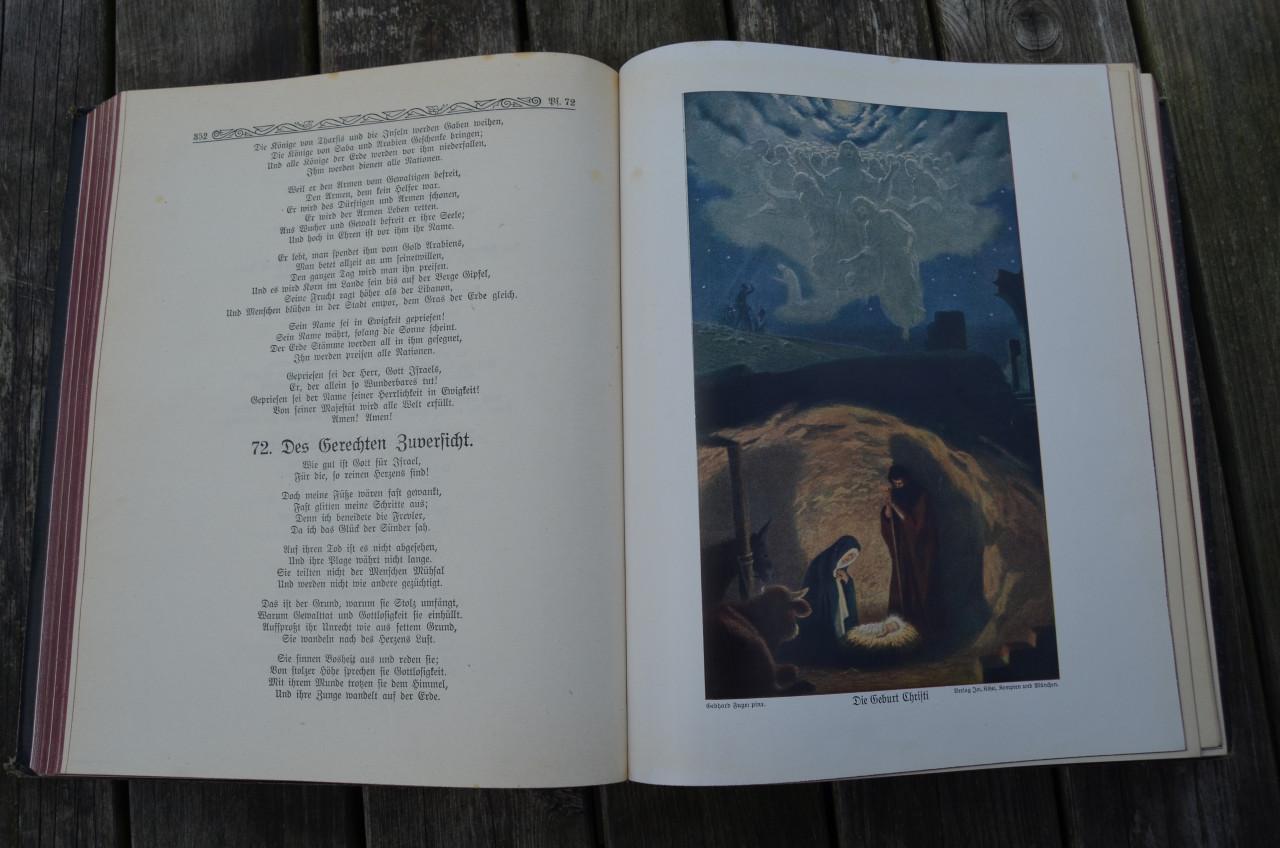 Duitse Volksbijbel Deutsche Volksbibel 1912 mooie ill.