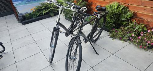 Batavus Mambo Damesfiets en Herenfiets