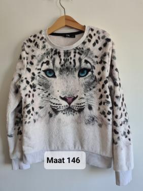Zachte ecru trui met tijgerprint van C&A Mt 146