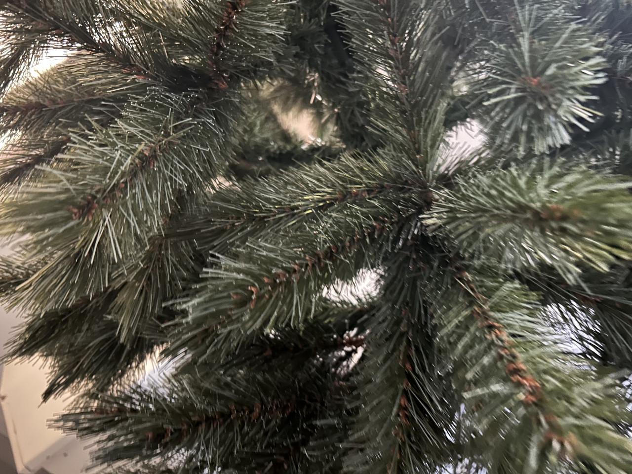 Kerstboom , 1 keer opgezet. Intratuin , Romagne