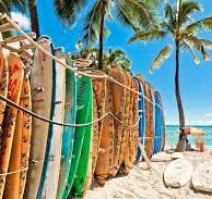 Surfplank gevraagd