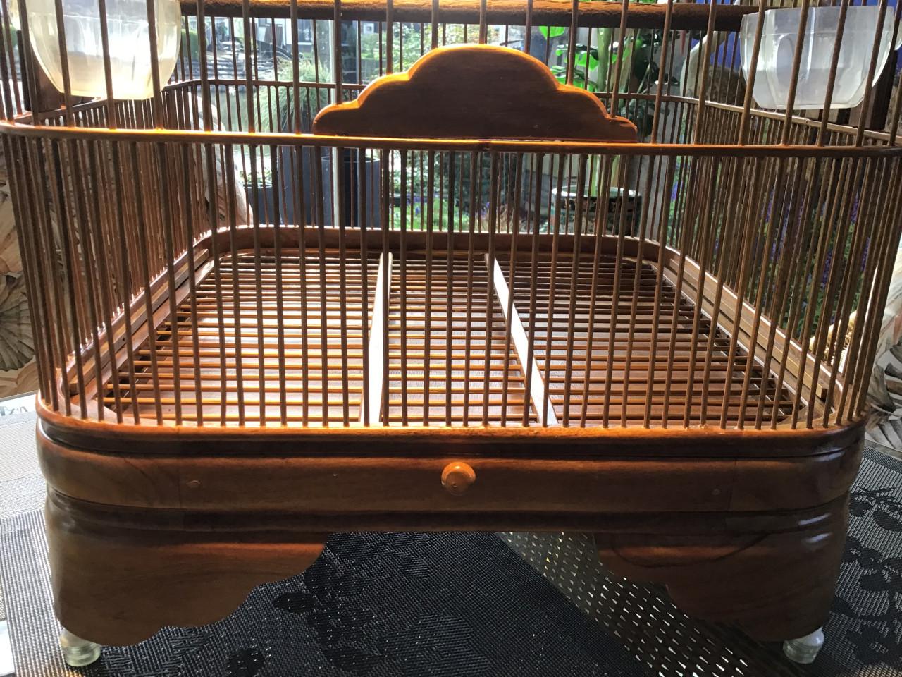 Zangkooi voor b v shamalijster