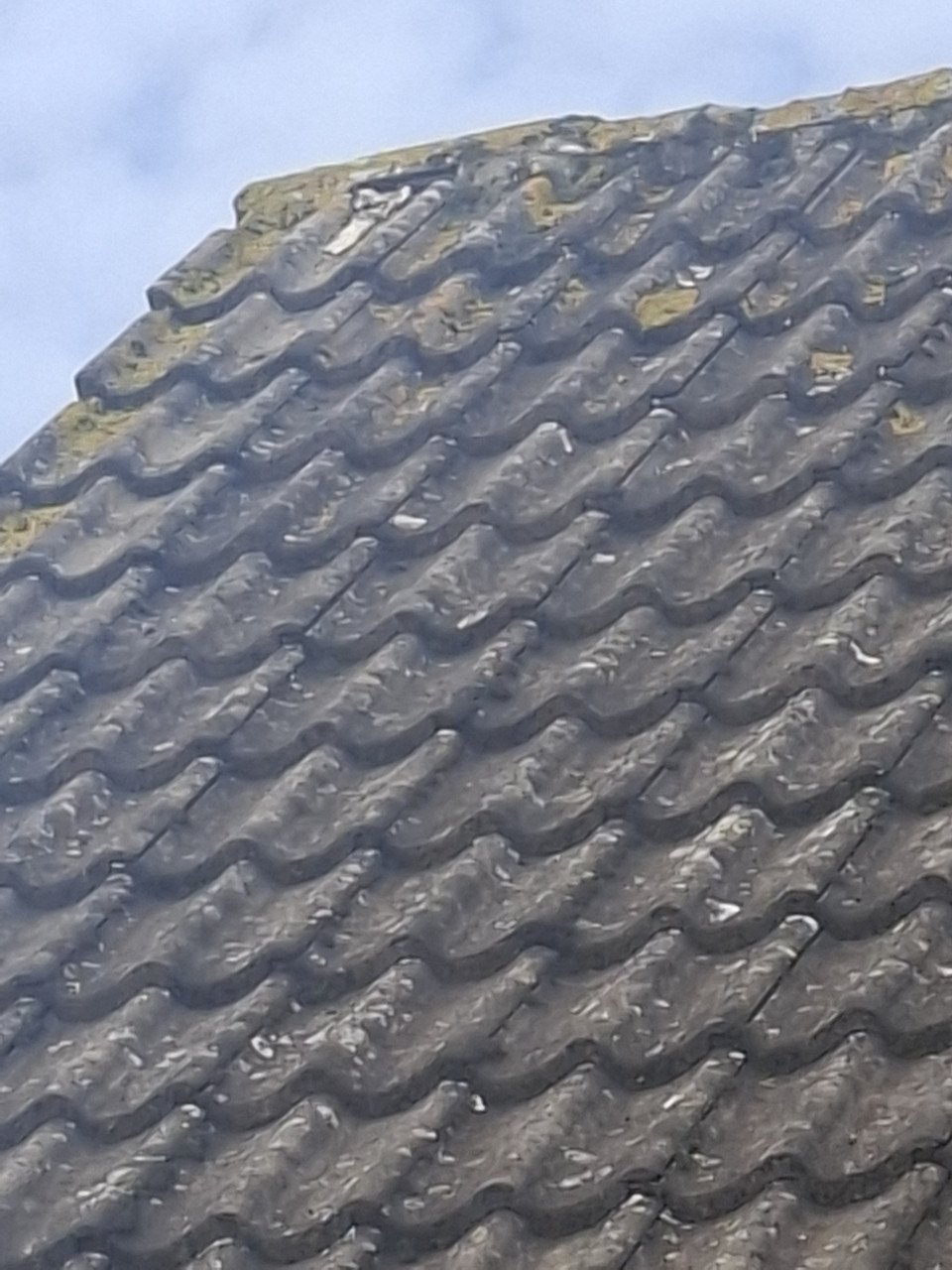 Gezocht klusjes man voor kleine reparatie dak.