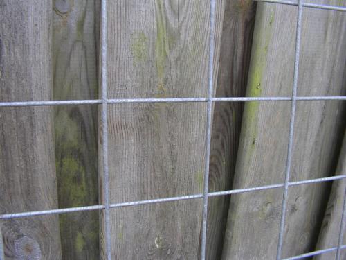 Klimrek voor planten