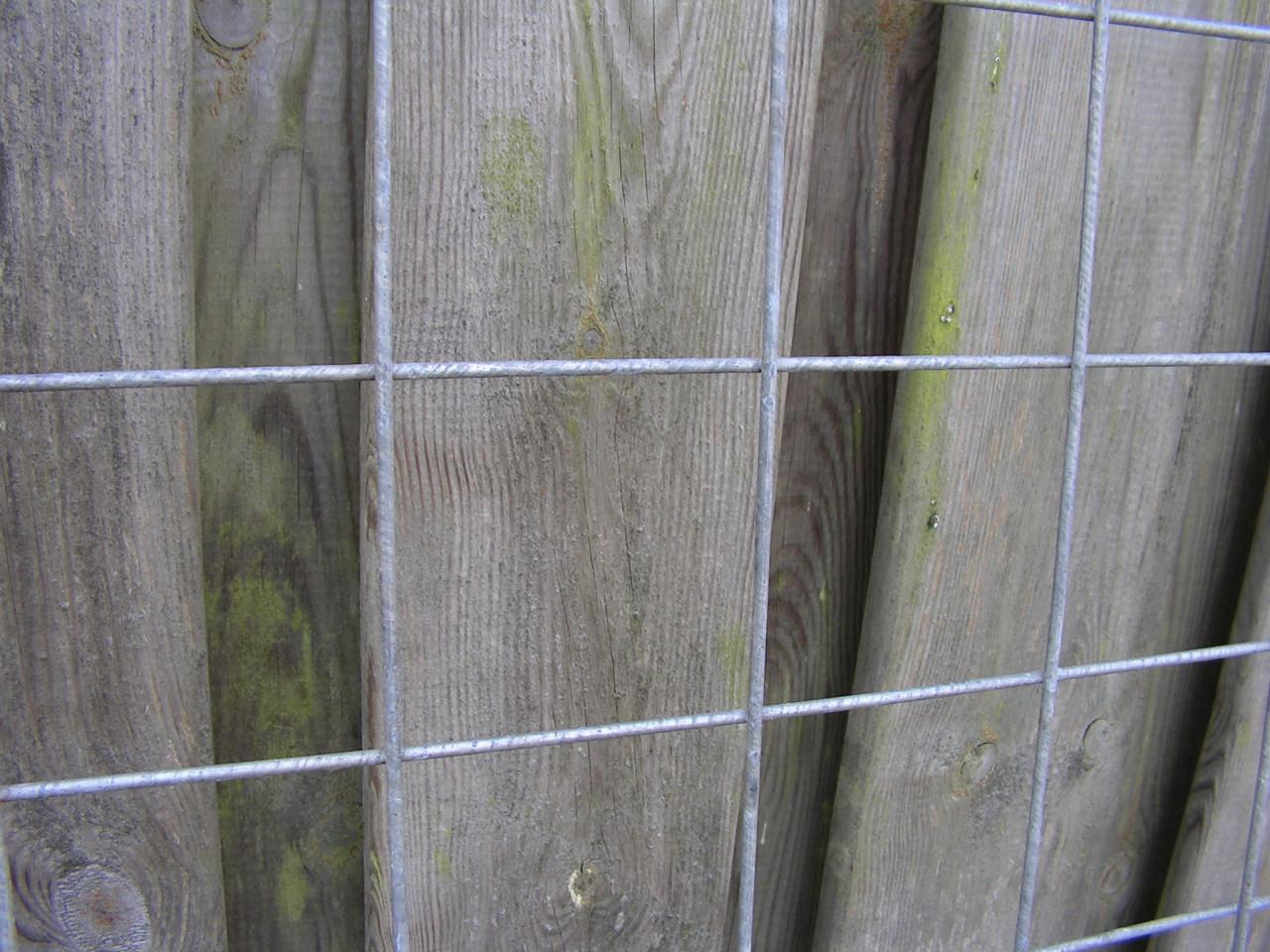 Klimrek voor planten