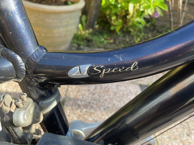 Reflection Freedom Damesfiets