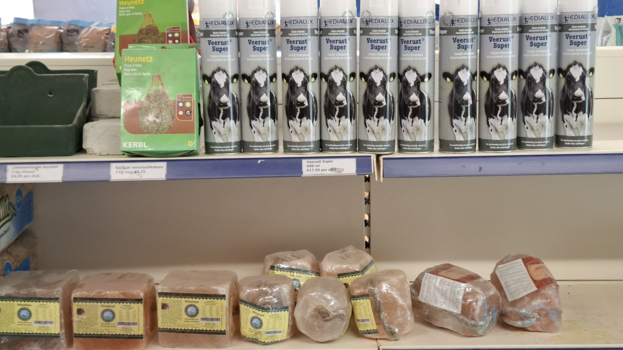 3 dolle dierendagdagen bij DIERTOTAALARJO