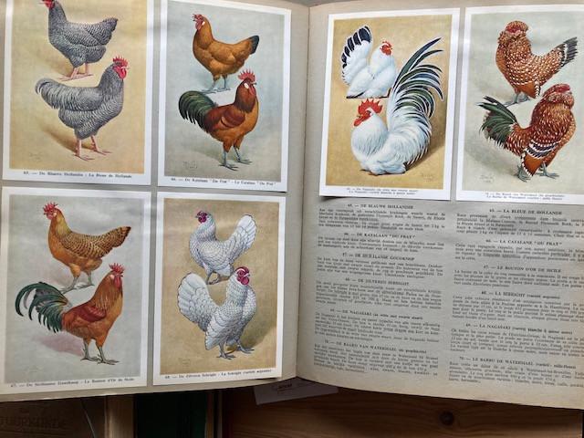 Boeken