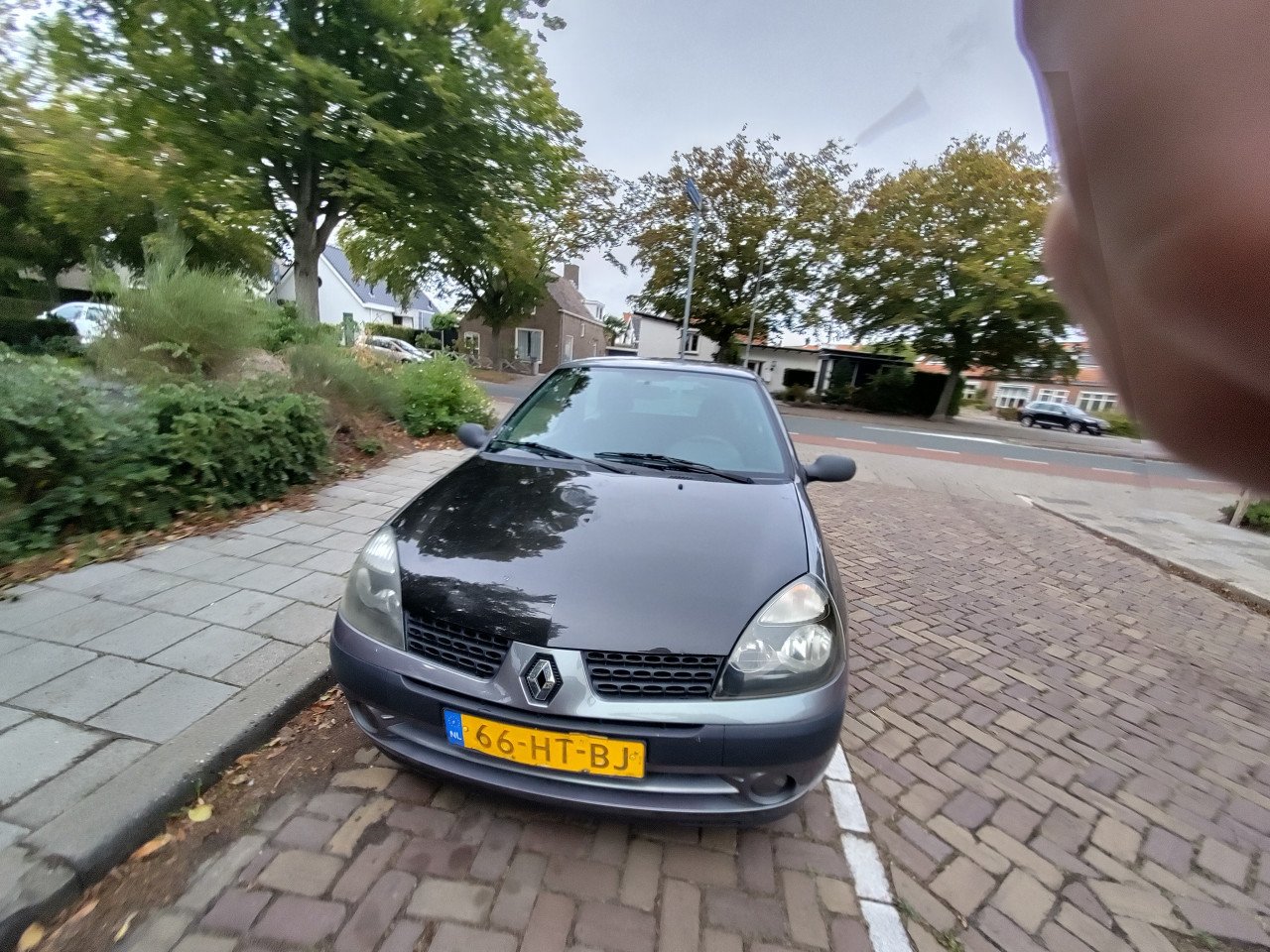 Renault clio