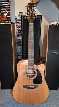 Takamine 12 snarig