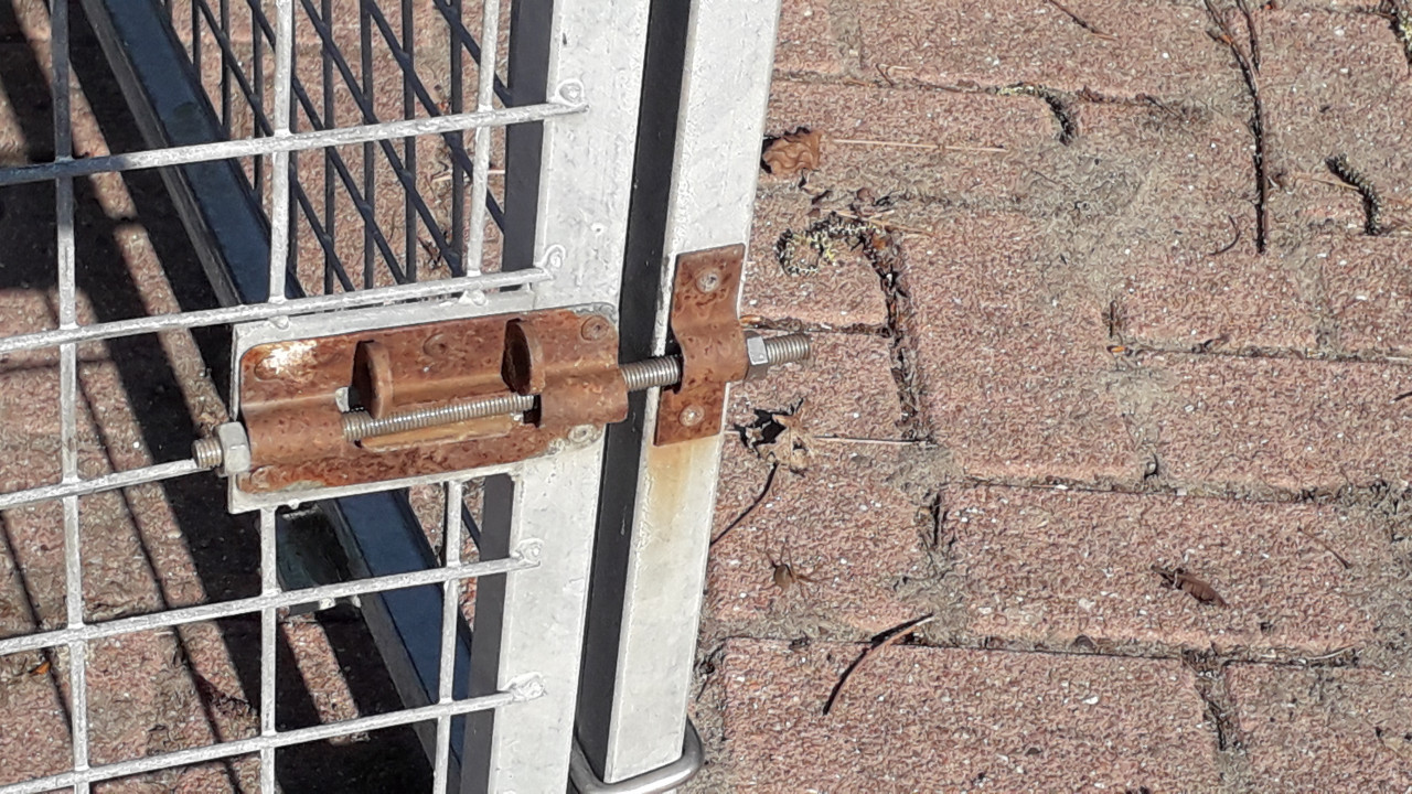 Te koop: stevige bench voor honden, katten, konijn  of kippen