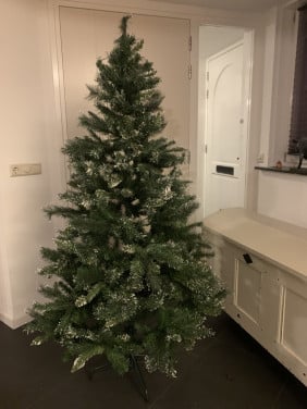 Kerstboom met sneeuweffect. Intratuin.