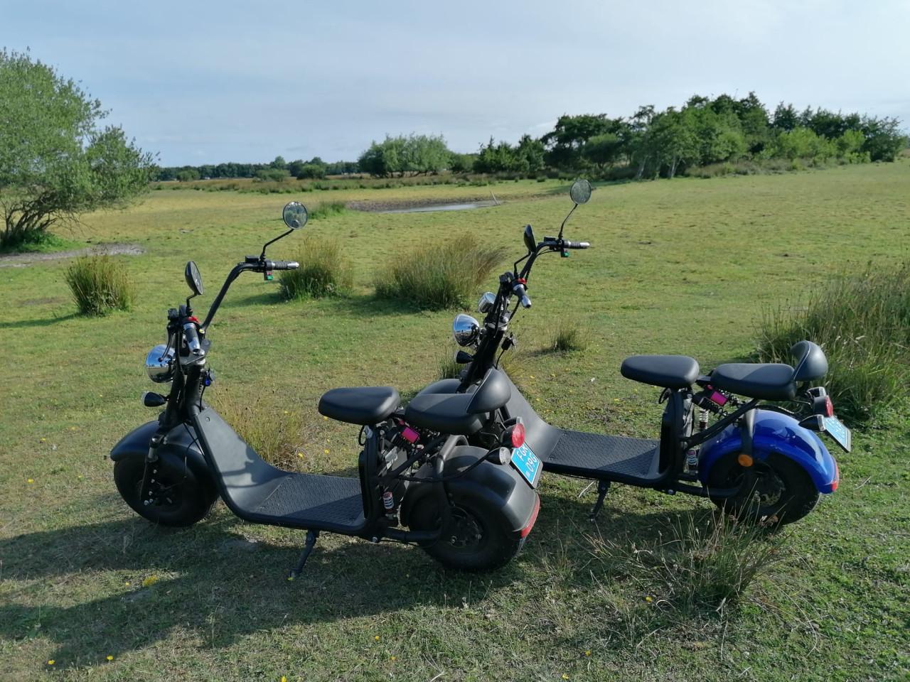 Twee mooie E-choppers per stuk 699 euro twee voor 1250 euro