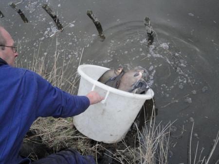 Koop je visvergunning voor het jaar 2026 bij Jos en Jolanda en Saskia 17,50