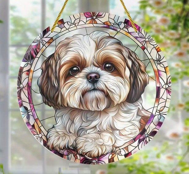 Raamhanger shih tzu - boomer hond