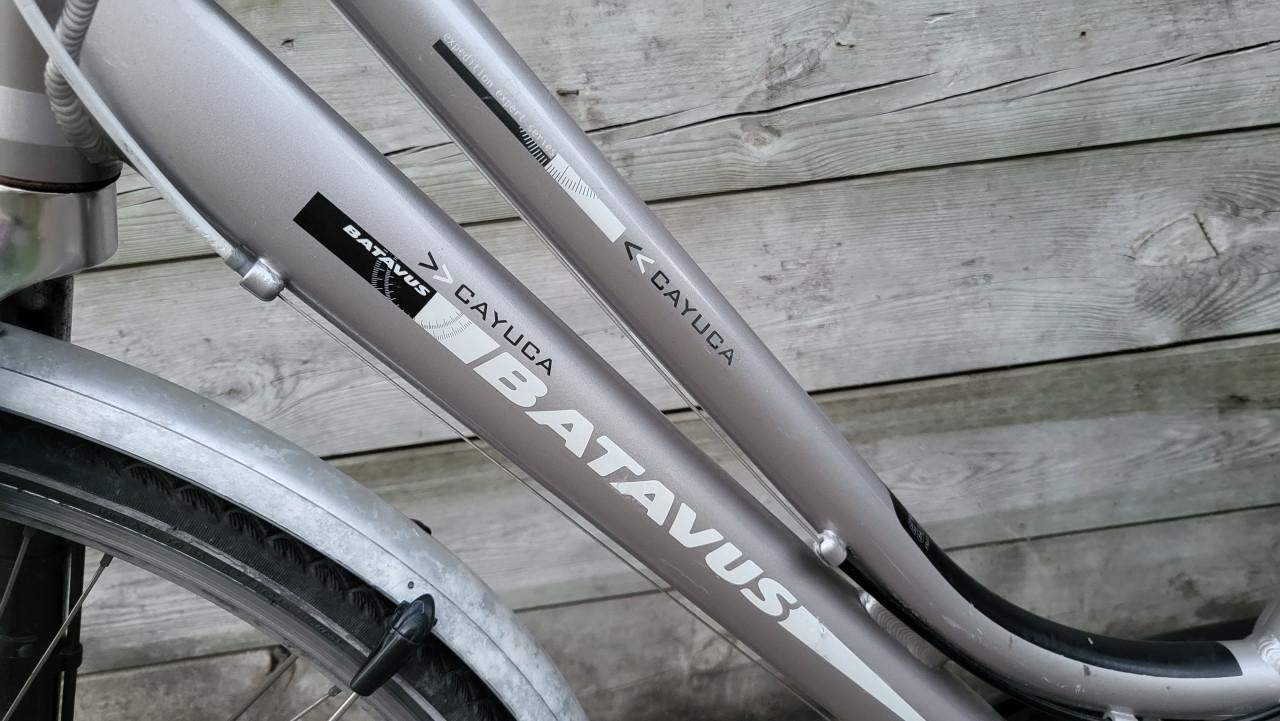 Batavus Cayuca 53 inch