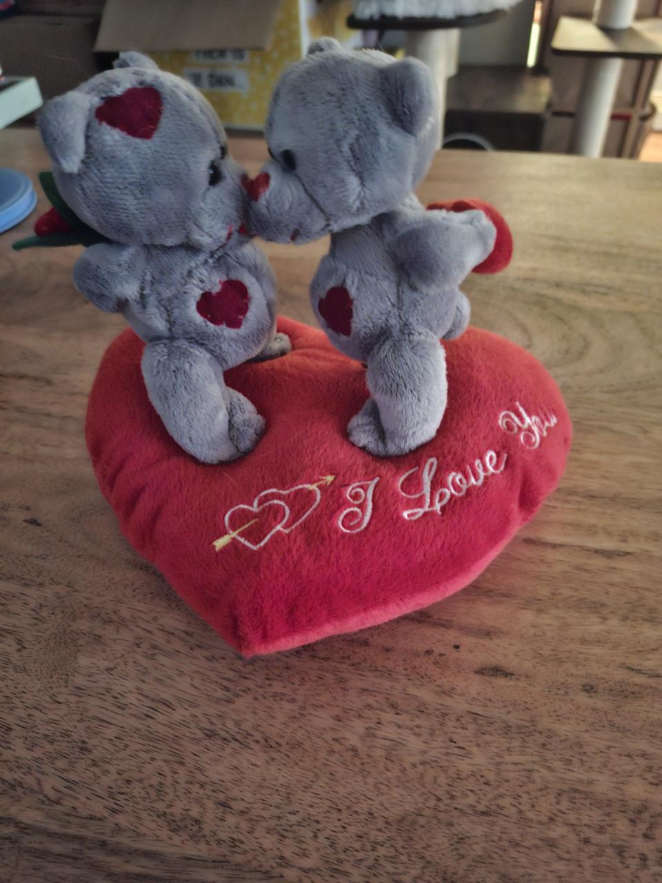 Kussentje met 2 schattige beertjes