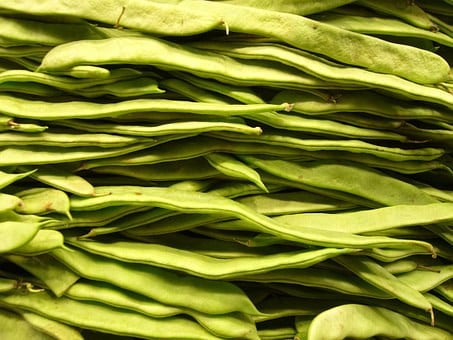 Moestuinen vrij in Middelburg