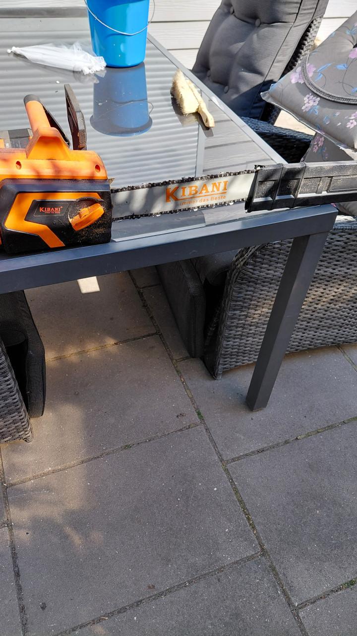 Elektrice kettingzaag