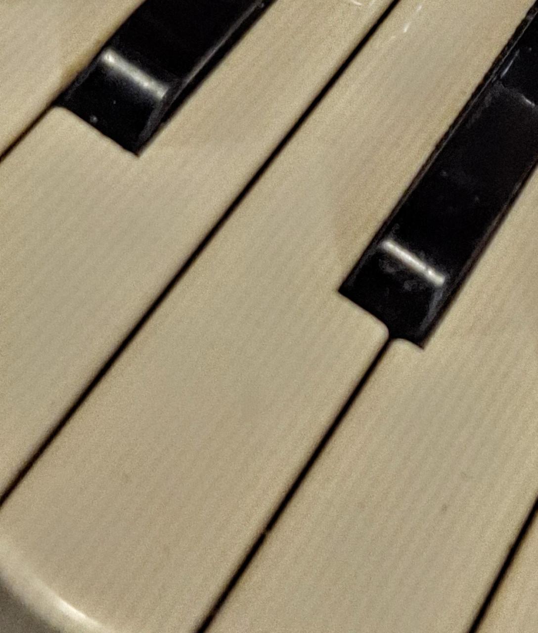 Accordion Accordiola Mignon 80 bas