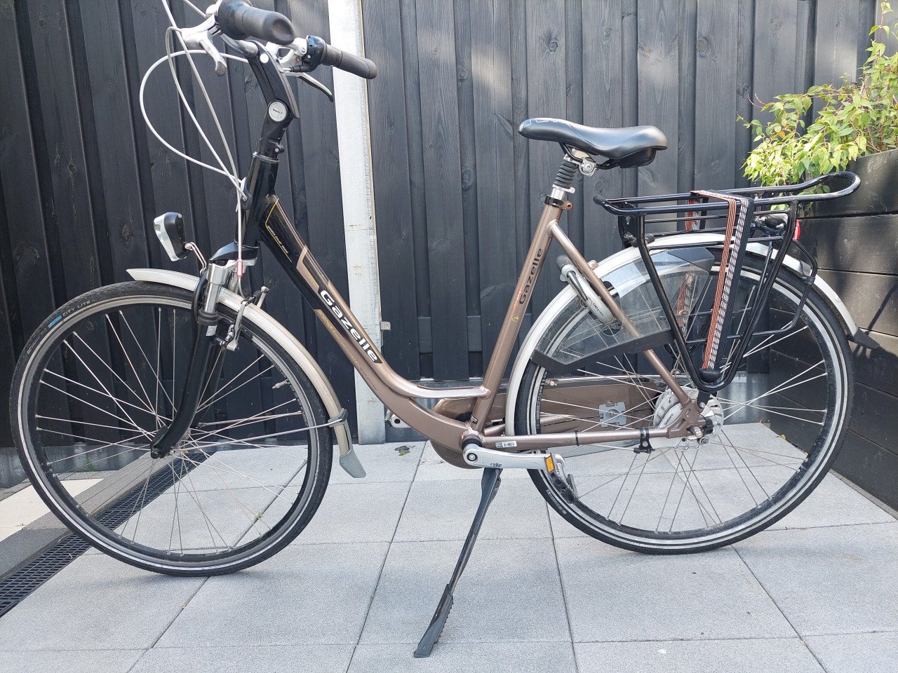 Gazelle Orange