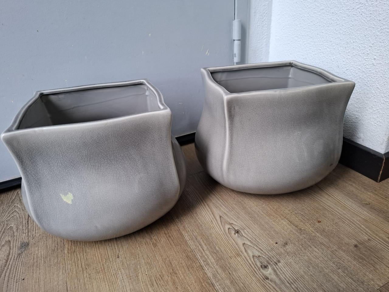 Twee prachtige bloempotten