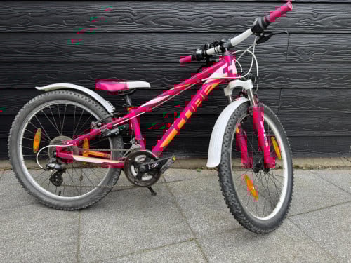 Mountainbike Cube
