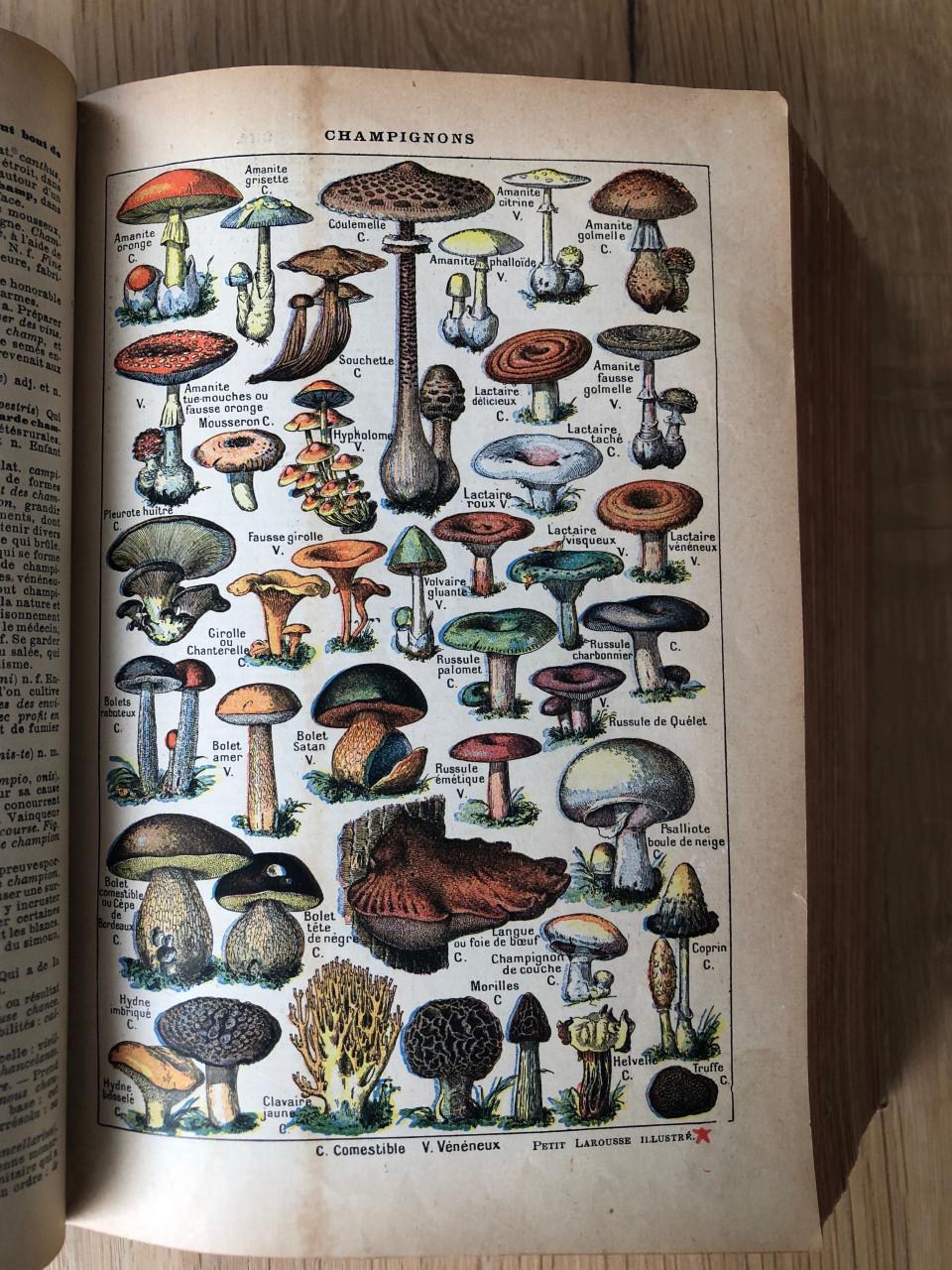 Nouveau Petit Larousse Illustré