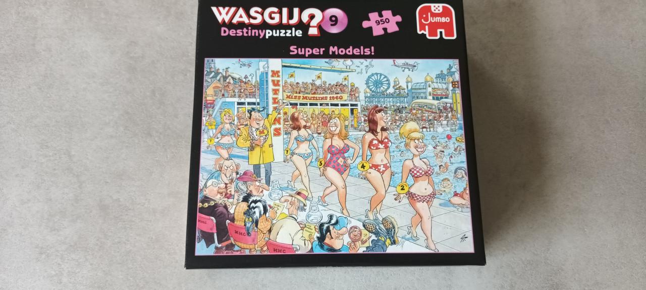 Wasgij puzzel