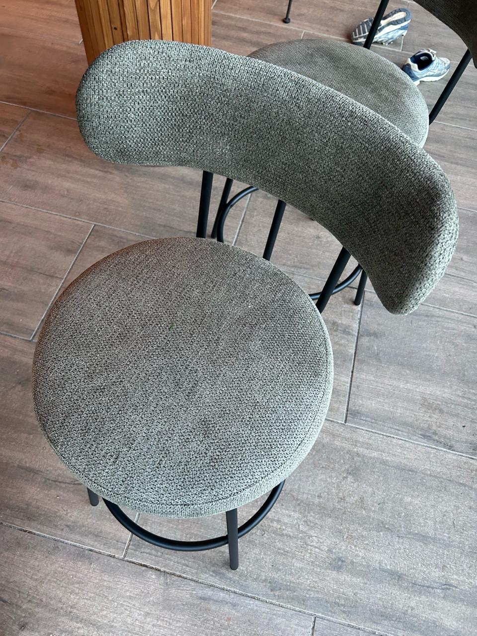 Barkrukken