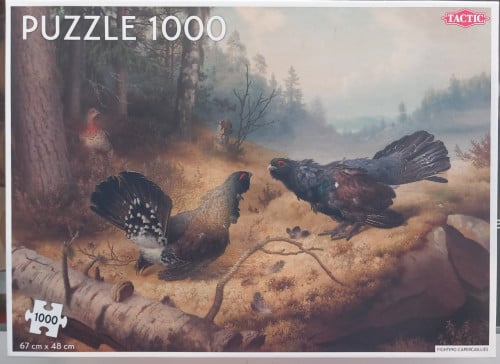 Puzzel met vogels