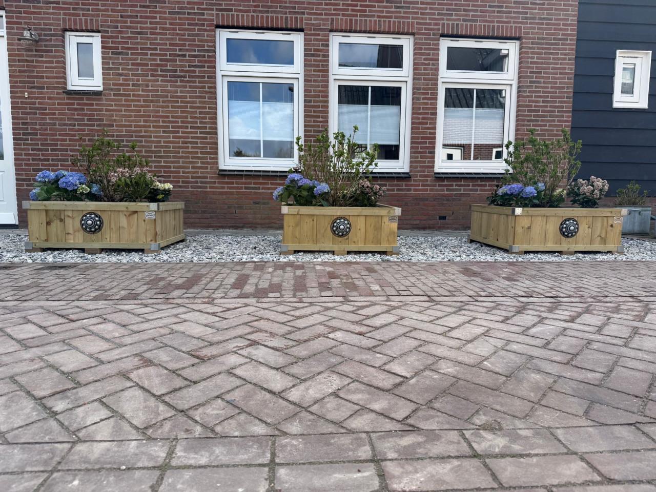 Zeeuwse knop bloembakken