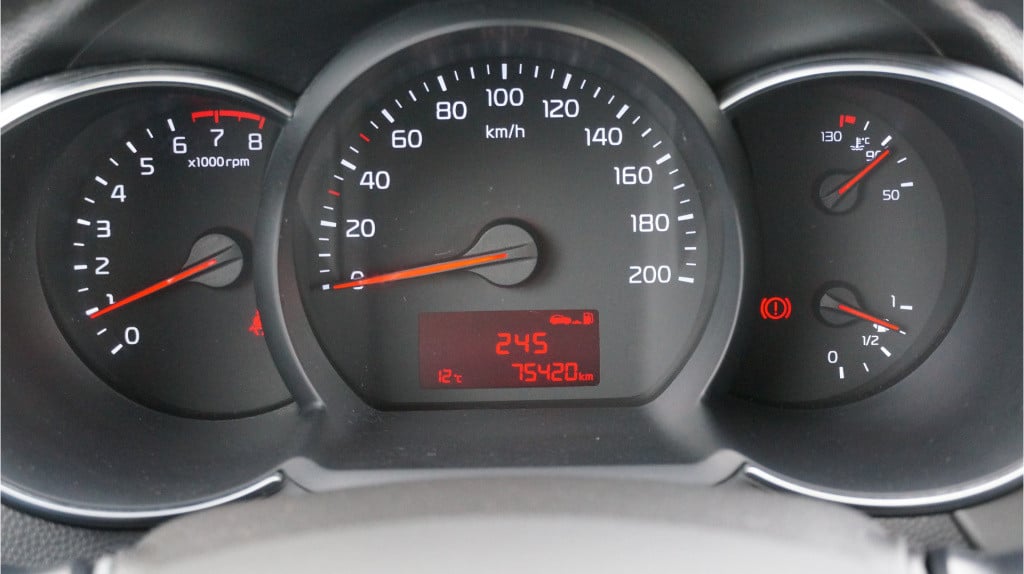 Kia Picanto 1.0 cvvt dynamicline rijklaar incl garantie