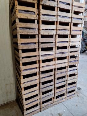 Gebruikte fruitkistjes