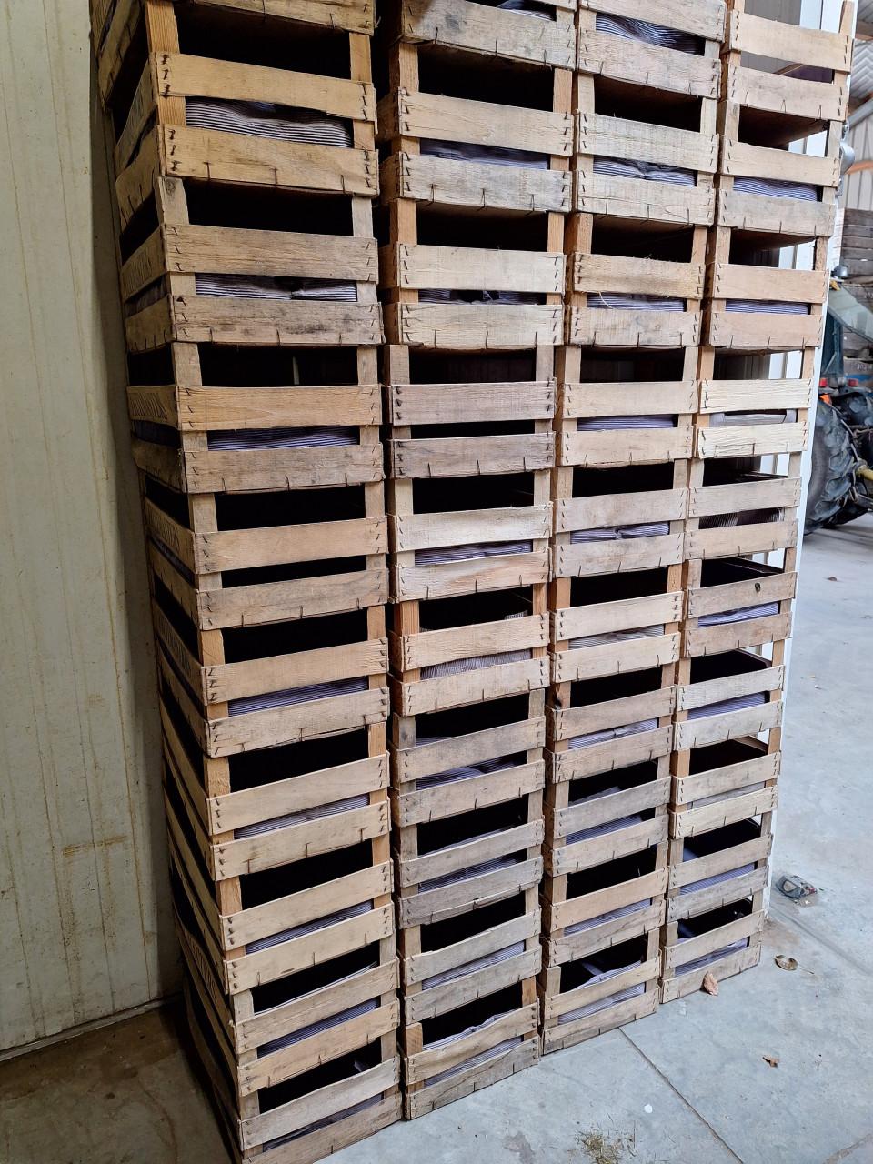 Gebruikte fruitkistjes