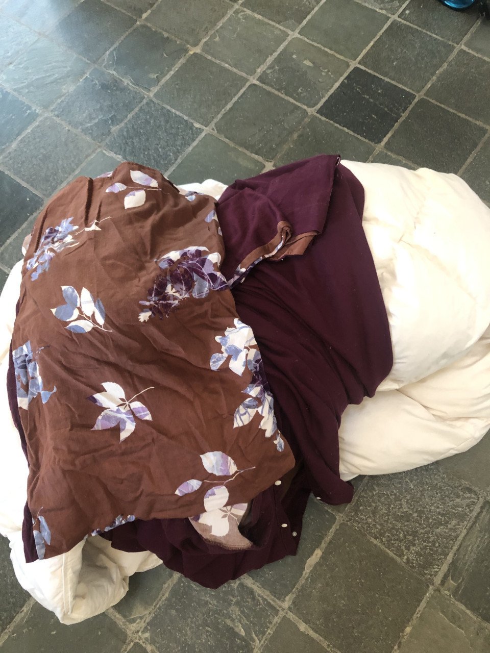 Donzen dekbed